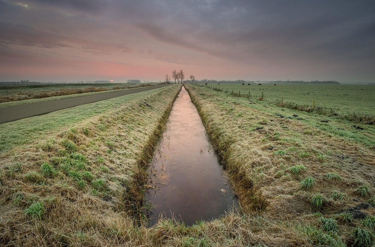 Septic drainfield during Florida rainy season in Ocala